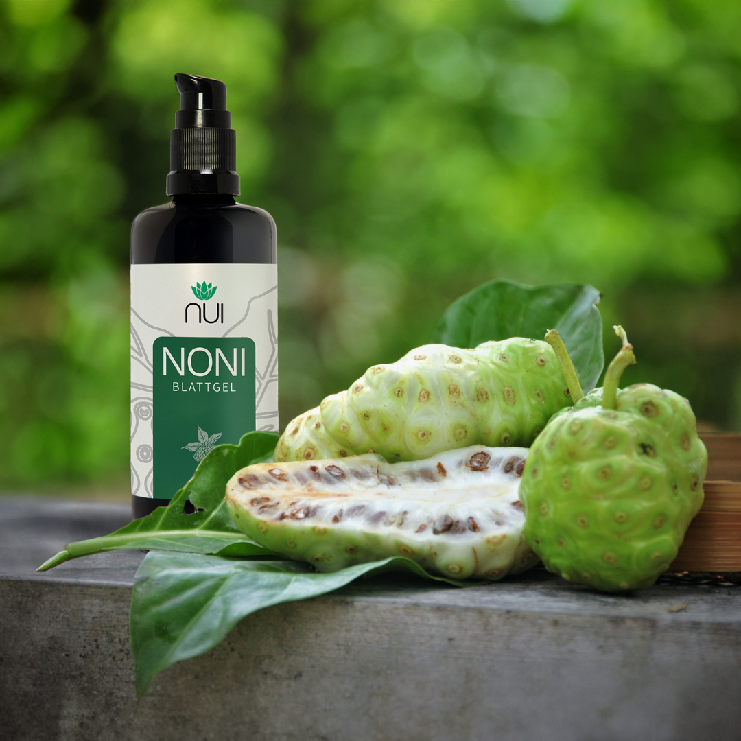 NUI-NONI-Blattgel-mit-Noniblatt
