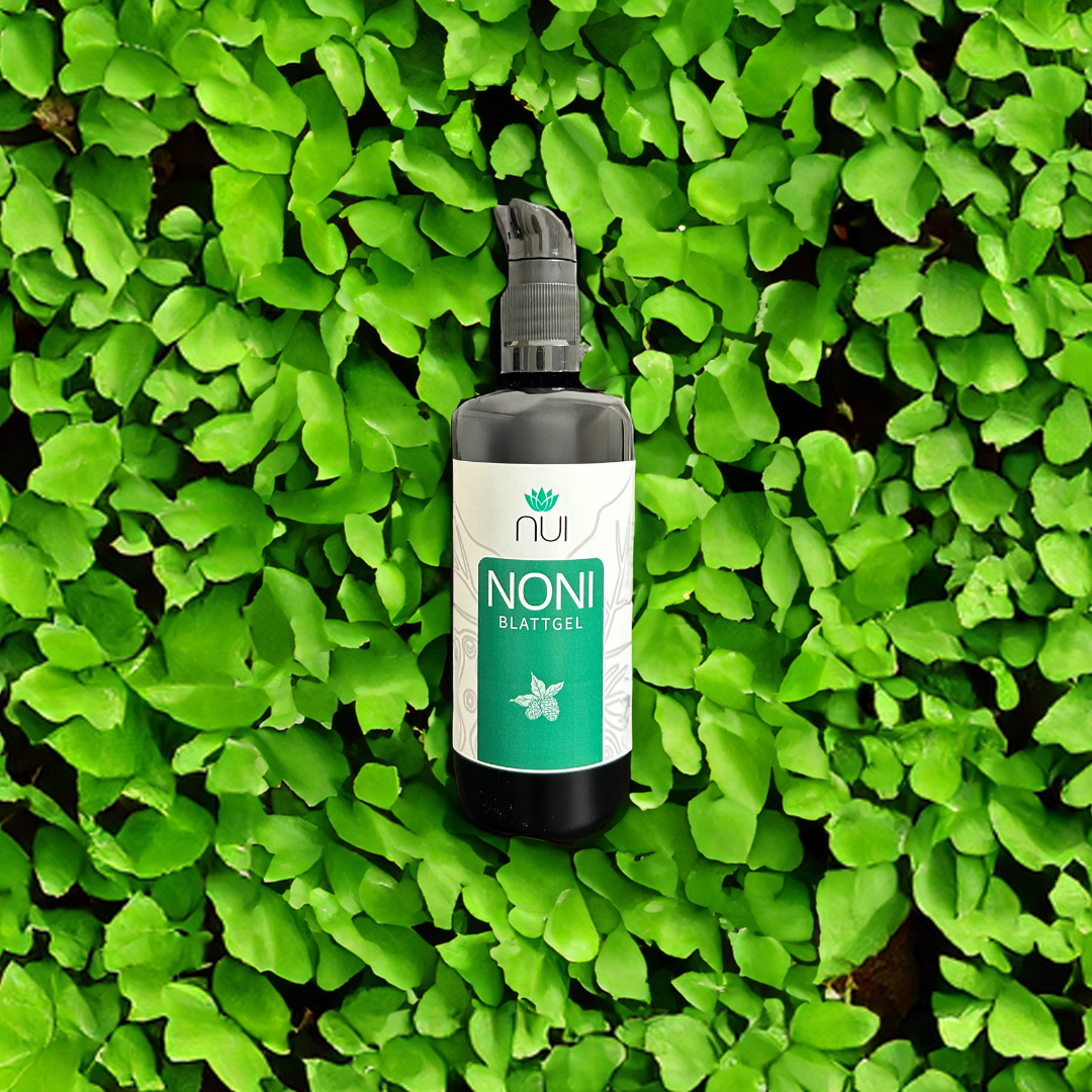 NUI-NONI-Blattgel-auf-einer-Hecke